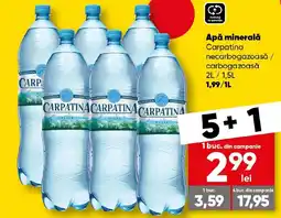 PROFI Apă minerală Carpatina necarbogazoasă / carbogazoasă Ofertă