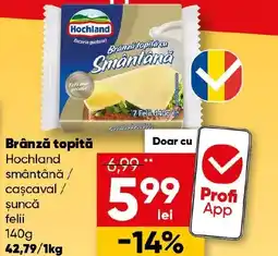 PROFI Brânză topită Hochland smântână / caşcaval / șuncă felii Ofertă