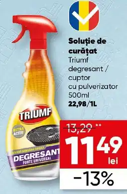 PROFI Soluţie de curăţat Triumf Ofertă