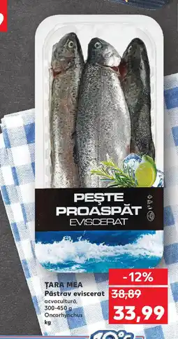 Kaufland TARA MEA Păstrav eviscerat Ofertă