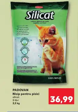 Kaufland PADOVAN Nisip pentru pisici Ofertă
