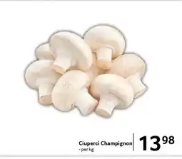 Selgros Ciuperci Champignon Ofertă