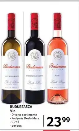 Selgros BUDUREASCA Vin Ofertă