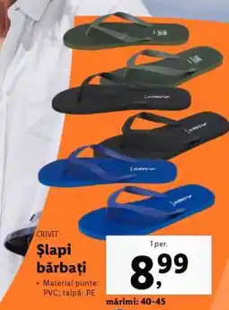 Lidl Şlapi bărbaţi Ofertă