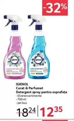 Selgros IGIENOL Curat & Parfumat Detergent spray pentru suprafețe Ofertă