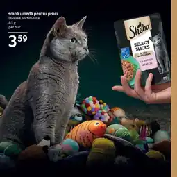 Selgros SHEBA Hrană umedă pentru pisici Ofertă