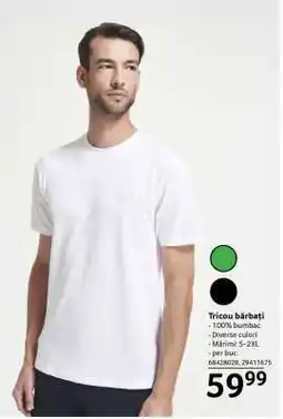 Selgros Tricou bărbați Ofertă