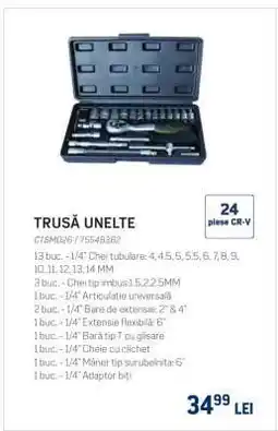 Selgros Trusă unelte Ofertă