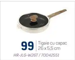 Selgros Tigaie cu capac Ofertă