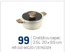 Selgros Cratiță cu capac Ofertă