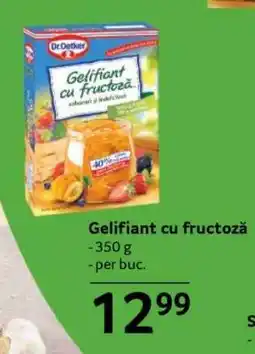 Selgros Gelifiant cu fructoză Ofertă