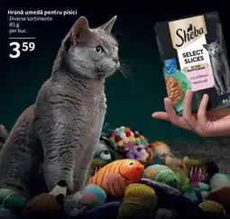 Selgros HRANĂ UMEDĂ PENTRU PISICI Ofertă