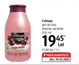 DM Cottage gel de duş Ofertă
