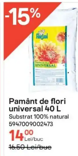 Brico Depôt Pamânt de flori universal Ofertă