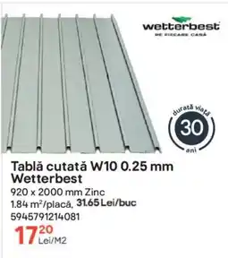 Brico Depôt Tablǎ cutată W10 0.25 mm Wetterbest Ofertă