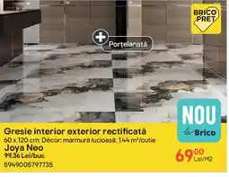 Brico Depôt Gresie interior exterior rectificată Ofertă