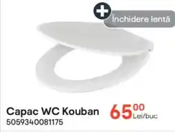 Brico Depôt Capac WC Kouban Ofertă