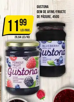 Mega Image Gustona gem de afine/fructe de pădure Ofertă