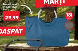 Kaufland Geantă pentru cumpărături Ofertă