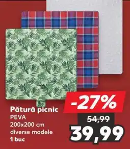 Kaufland Pătură picnic Ofertă
