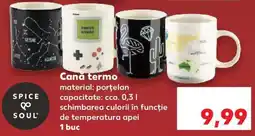 Kaufland Cană termo Ofertă