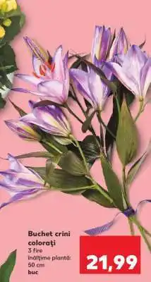 Kaufland Buchet crini colorați Ofertă