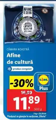 Lidl CĂMARA NOASTRĂ Afine de cultură Ofertă