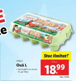 Lidl Ouă L Ofertă