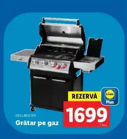 Lidl Grătar pe gaz Ofertă
