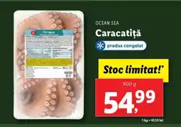 Lidl Caracatiță Ofertă