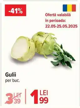 Carrefour Gulii Ofertă