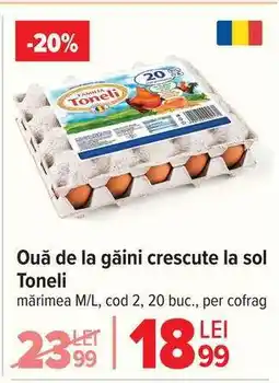 Carrefour Ouă de la găini crescute la sol Toneli Ofertă