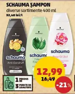 Penny SCHAUMA Șampon Ofertă