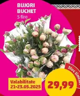 Penny BUJORI BUCHET Ofertă