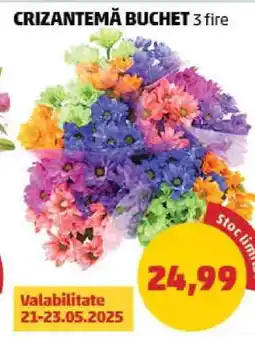Penny CRIZANTEMĂ BUCHEȚ 3 fire Ofertă