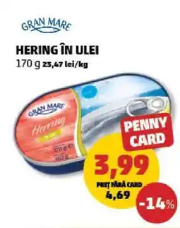 Penny HERING ÎN ULEI Ofertă