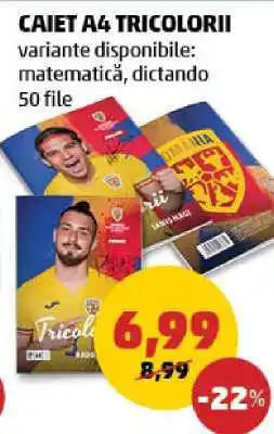 Penny Caiet A4 Tricolorii Ofertă