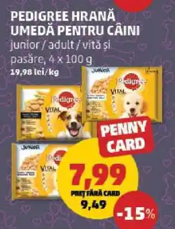 Penny PEDIGREE hrană umedă pentru câini Ofertă