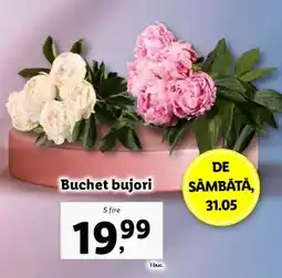 Lidl Buchet bujori Ofertă