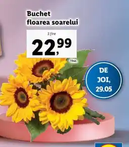 Lidl Buchet floarea soarelui Ofertă
