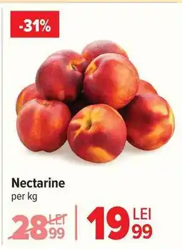 Nectarine