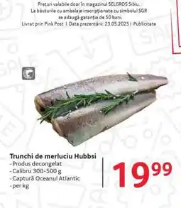 Selgros Trunchi de merluciu Hubbsi Ofertă