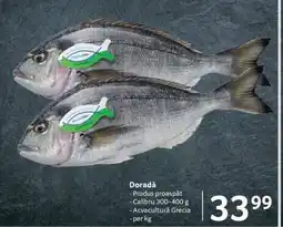 Dorada