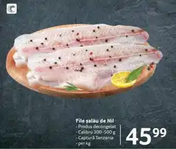 Selgros File Șalău de Nil Ofertă