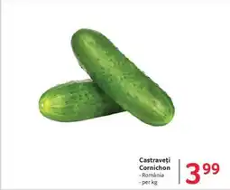 Selgros Castraveţi cornichon Ofertă