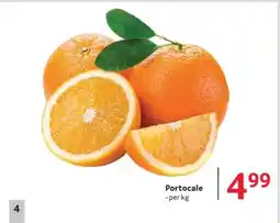 Selgros Portocale Ofertă