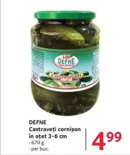 DEFNE Castraveți cornișon în oțet 3-6 cm