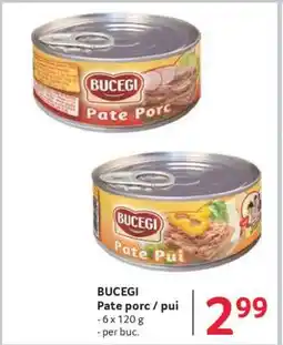 Selgros BUCEGI Ofertă