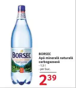 Selgros BORSEC Ofertă