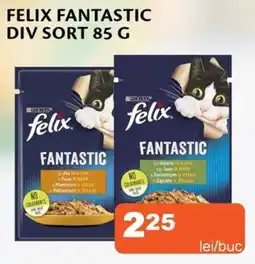 Felix fantastic